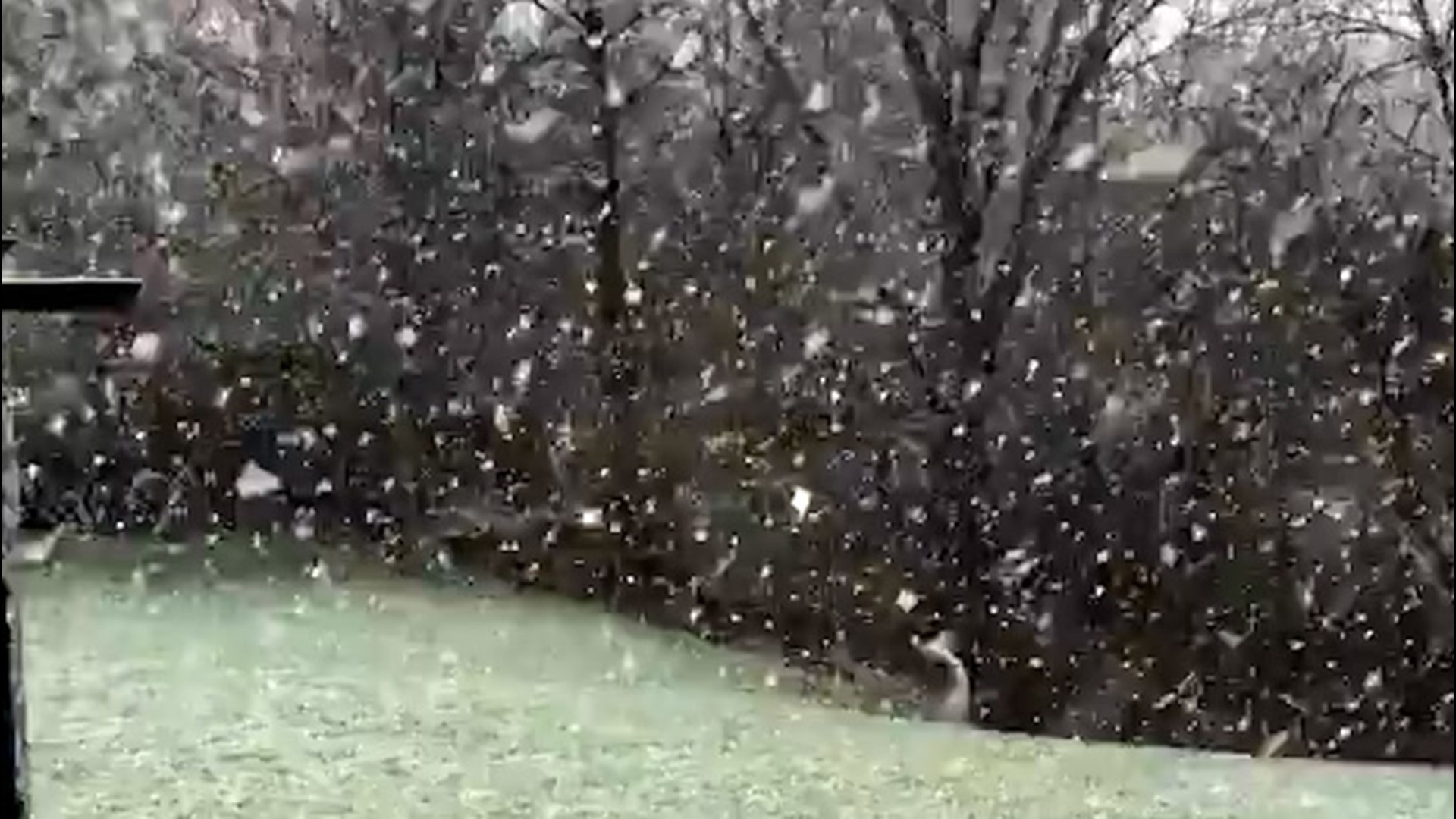 Heavy wet snowflakes led to light accumulations in North Royalton, Ohio, on April 9.