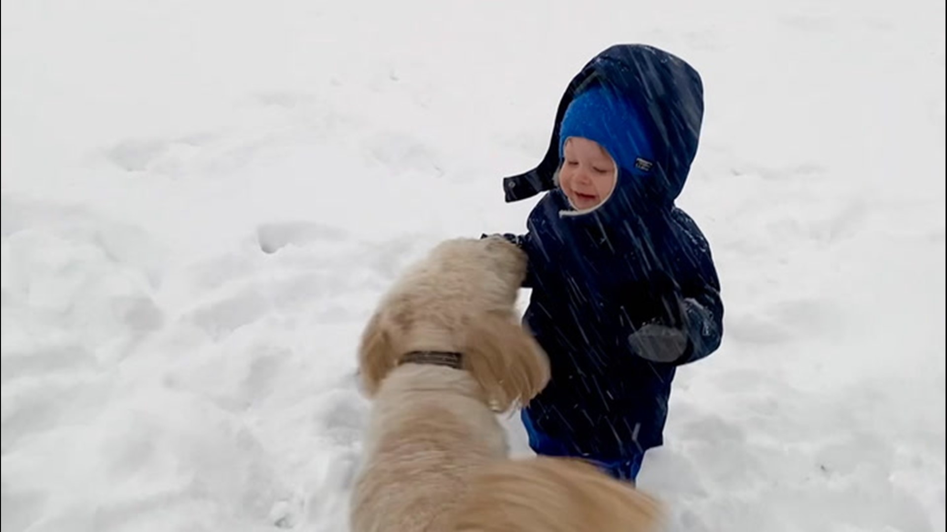 Little one-year-old Luca couldn't stop giggling as his dog ran around in the snow after some heavy snowfall in Port Matilda, Pennsylvania, on Dec. 16.