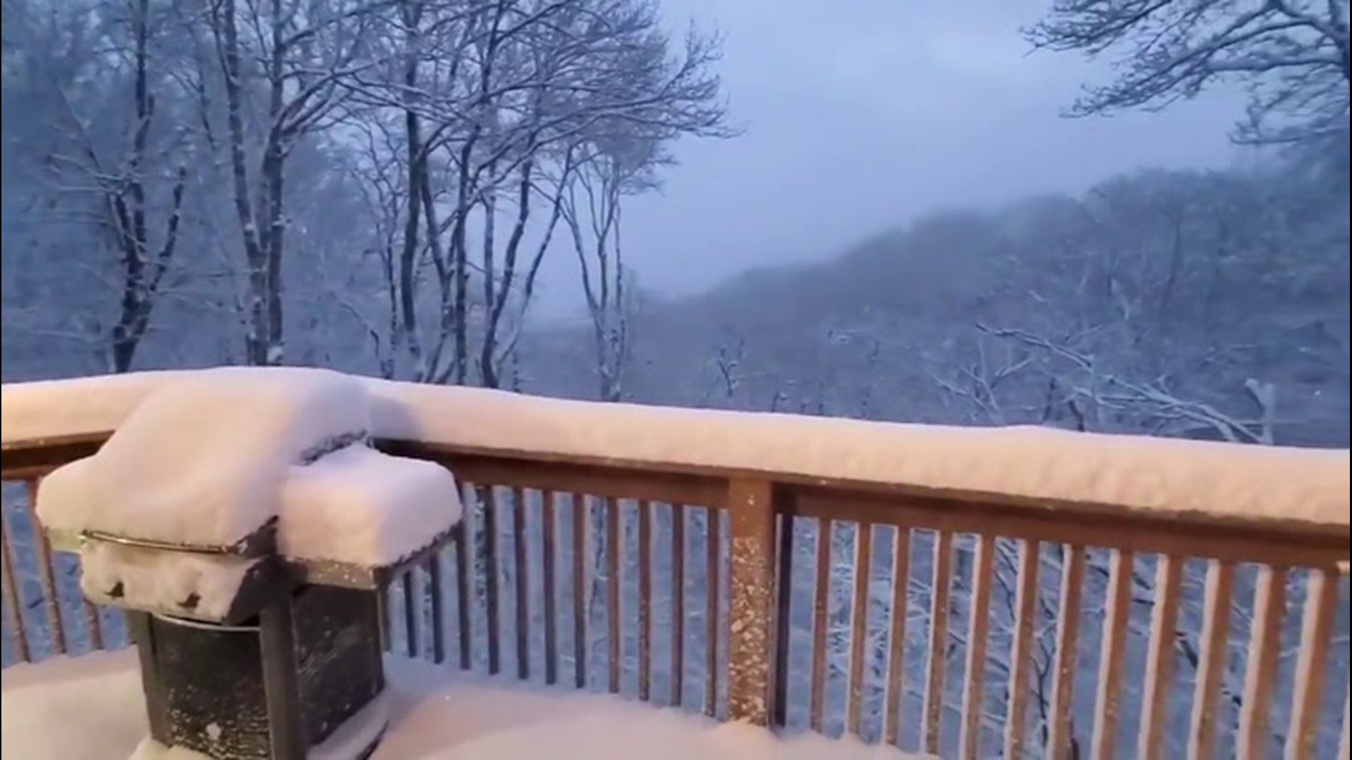 North Carolina was among the Southern states that got a rare white Christmas in 2020 due to a large-scale storm along the East coast.