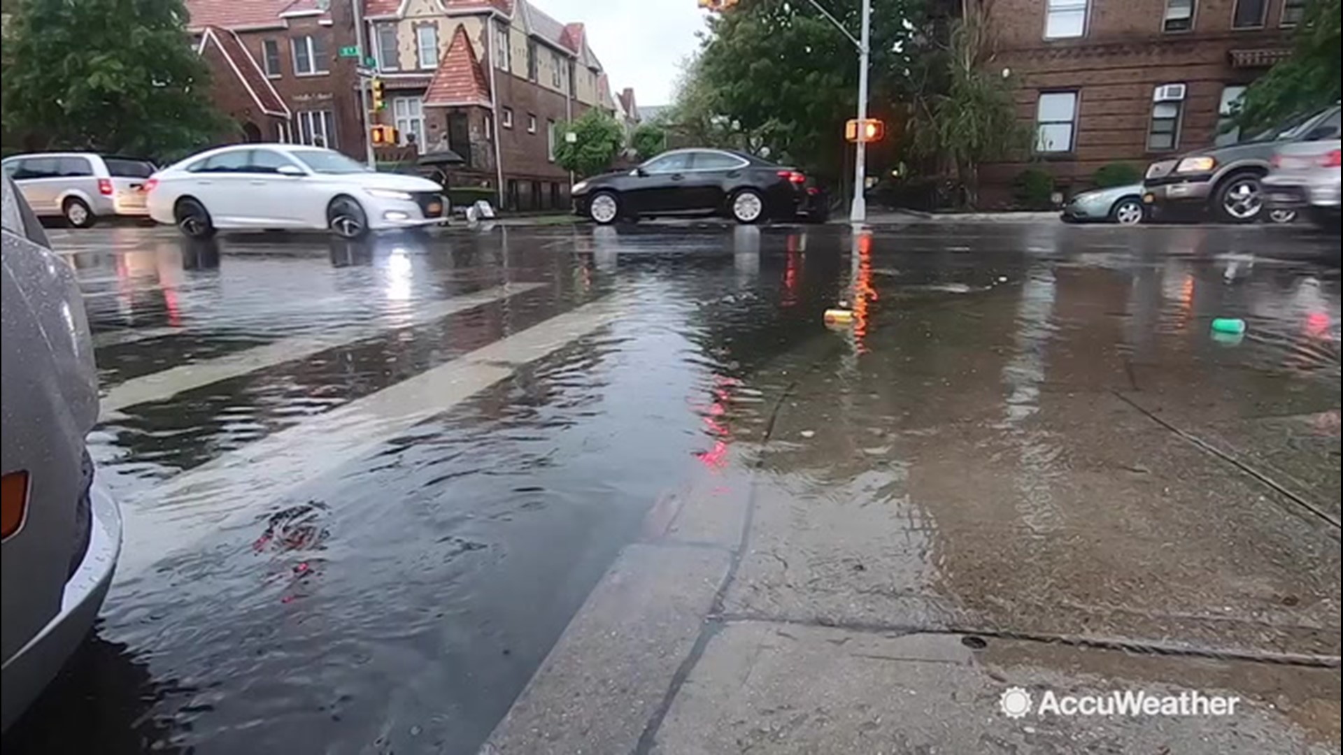 rat in nyc flood