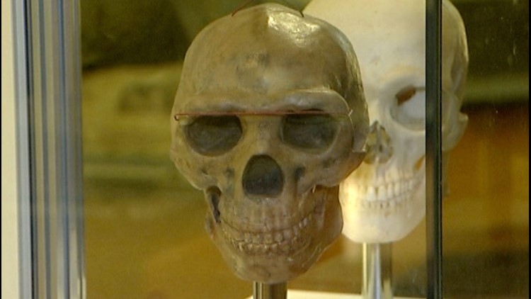 New Analysis Reveals Oldest Human Remains are 30,000 Years Older than Previously Believed