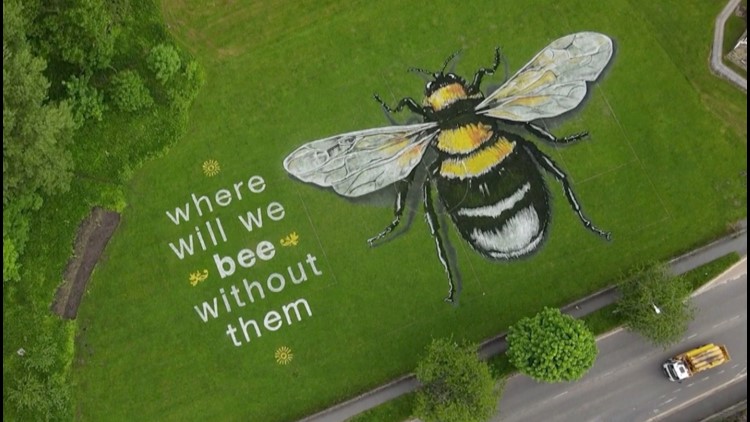 Must See! Artist Creates Giant Bee Mural to Raise Awareness for National Bee Day in the UK