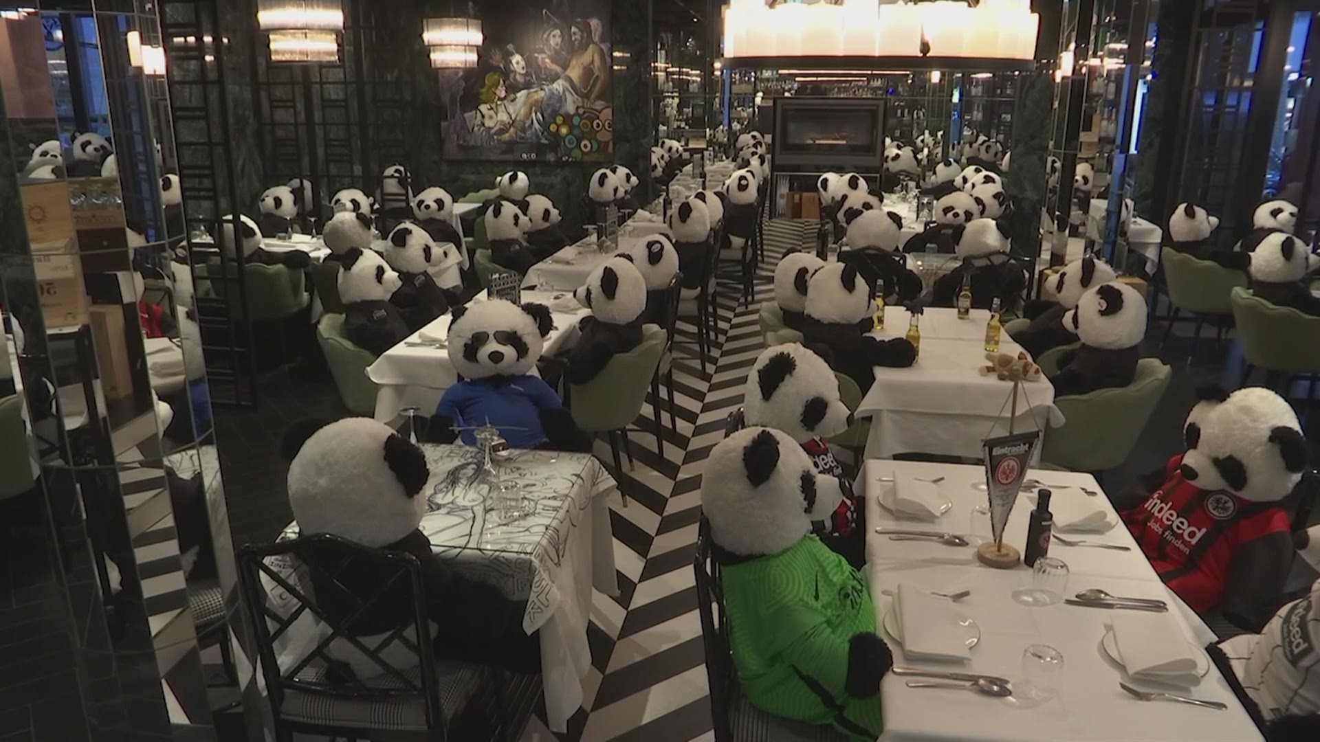 A restaurant owner in Germany has been using stuffed toy panda bears as a form of silent protest against the coronavirus lockdown.