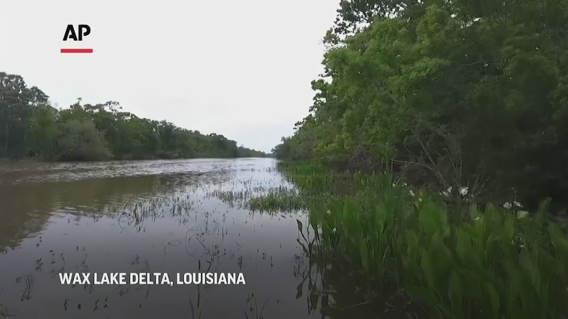 NASA is using high-tech airborne systems along with boats and mud-slogging work on islands for a $15 million, five-year study of the Mississippi River delta system.