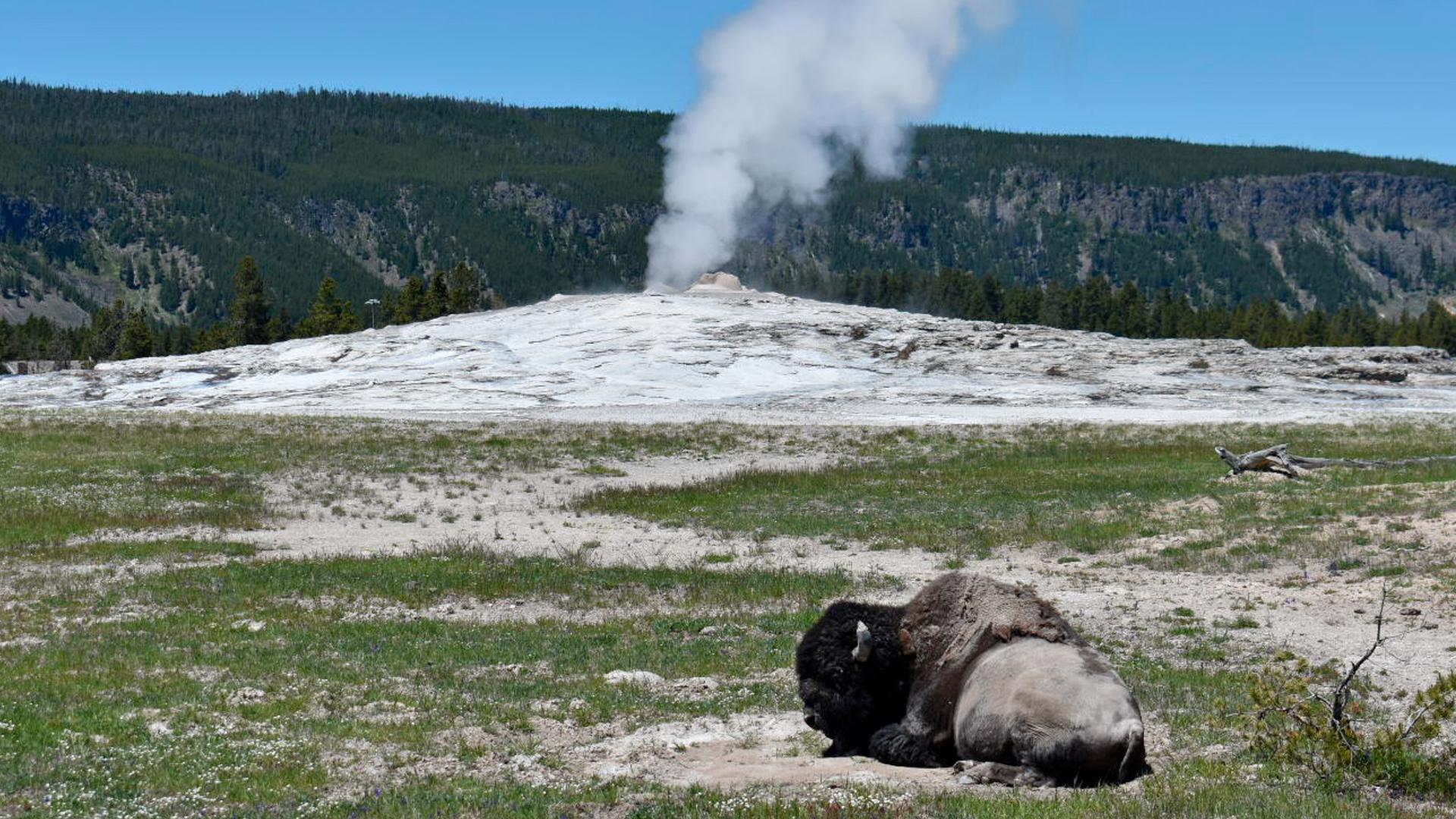 Hot springs have injured and killed more people in Yellowstone National Park than any other natural feature, the National Park Service said.