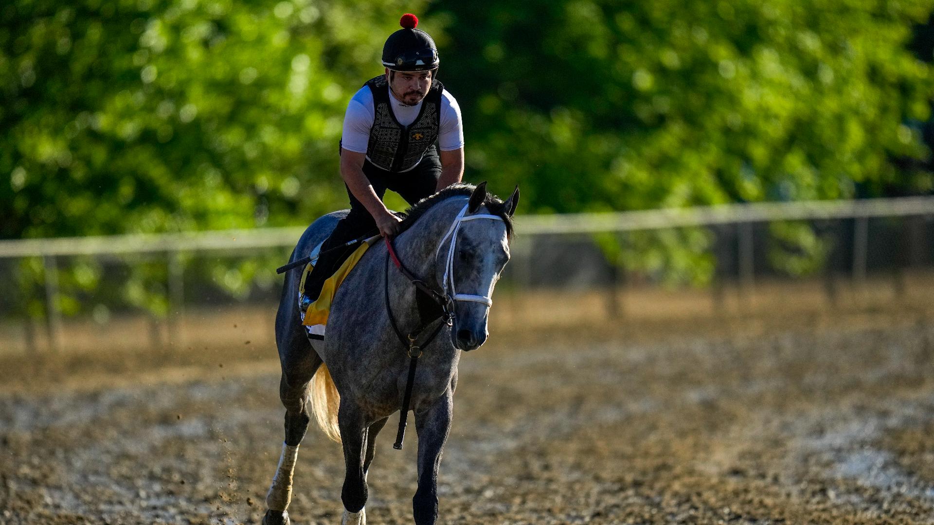 Preakness 2024 Seize the Grey wins Preakness Stakes horse race