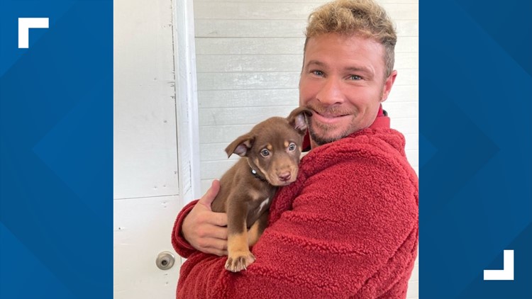 Nashville shelter puppies named after Backstreet Boys meet their namesakes