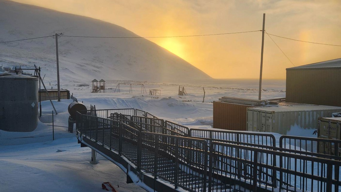 New details after deadly polar bear attack in Alaska - Vimarsana News