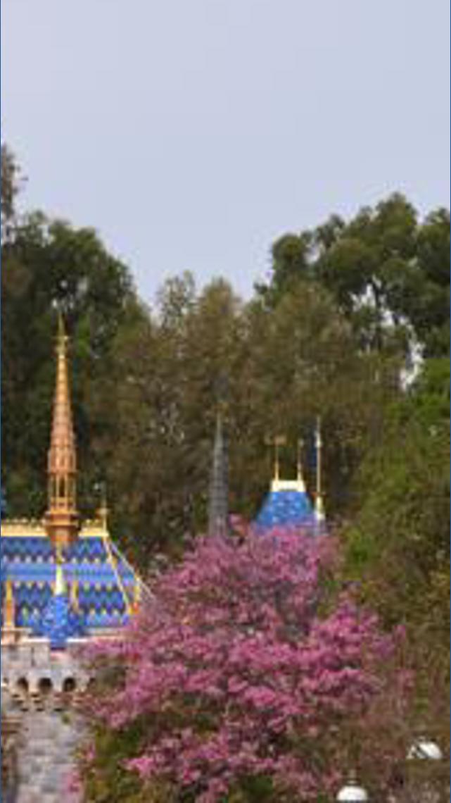 Disney faces lawsuit over alleged use of facial recognition at park ...