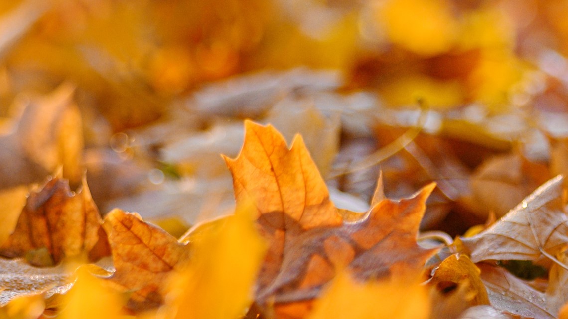 when-does-fall-start-in-2022-autumn-equinox-newscentermaine