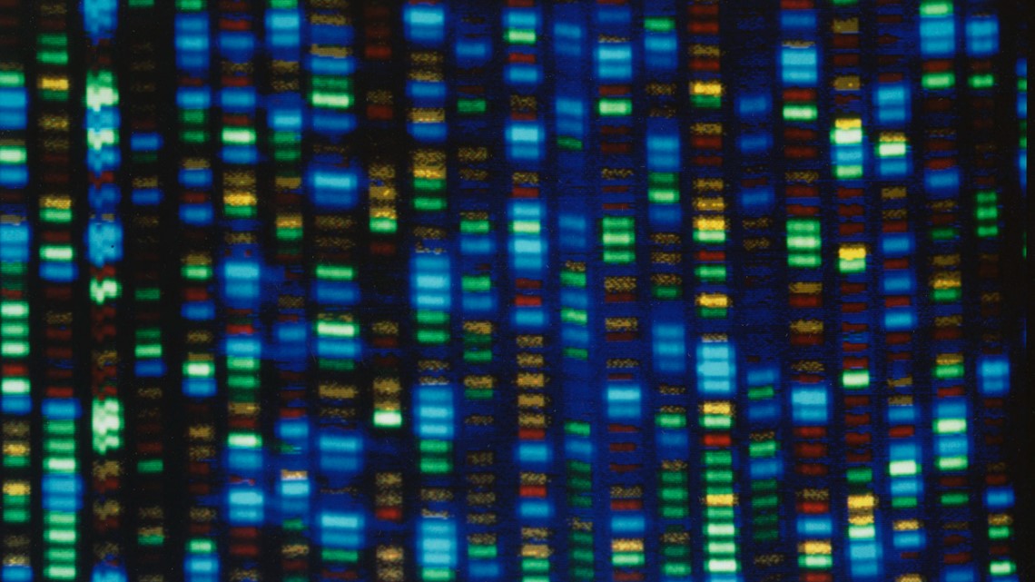 Human genome decoded fully | newscentermaine.com - Vimarsana News