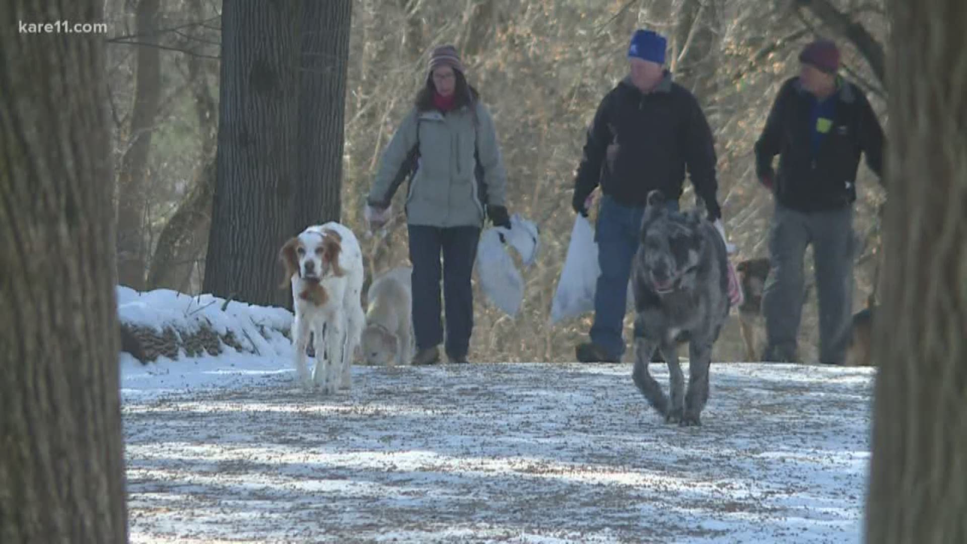 The Carver County Parks and Recreation Department is threatening a shutdown of the off-leash dog park