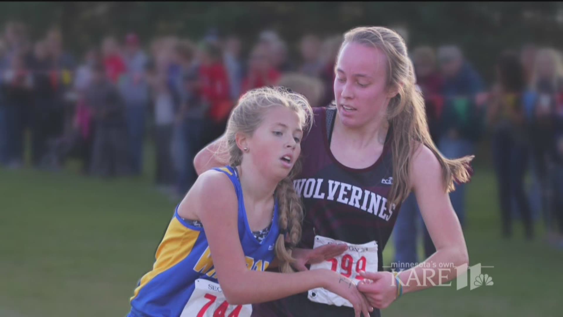 Land of 10,000 Stories: Cross Country runner