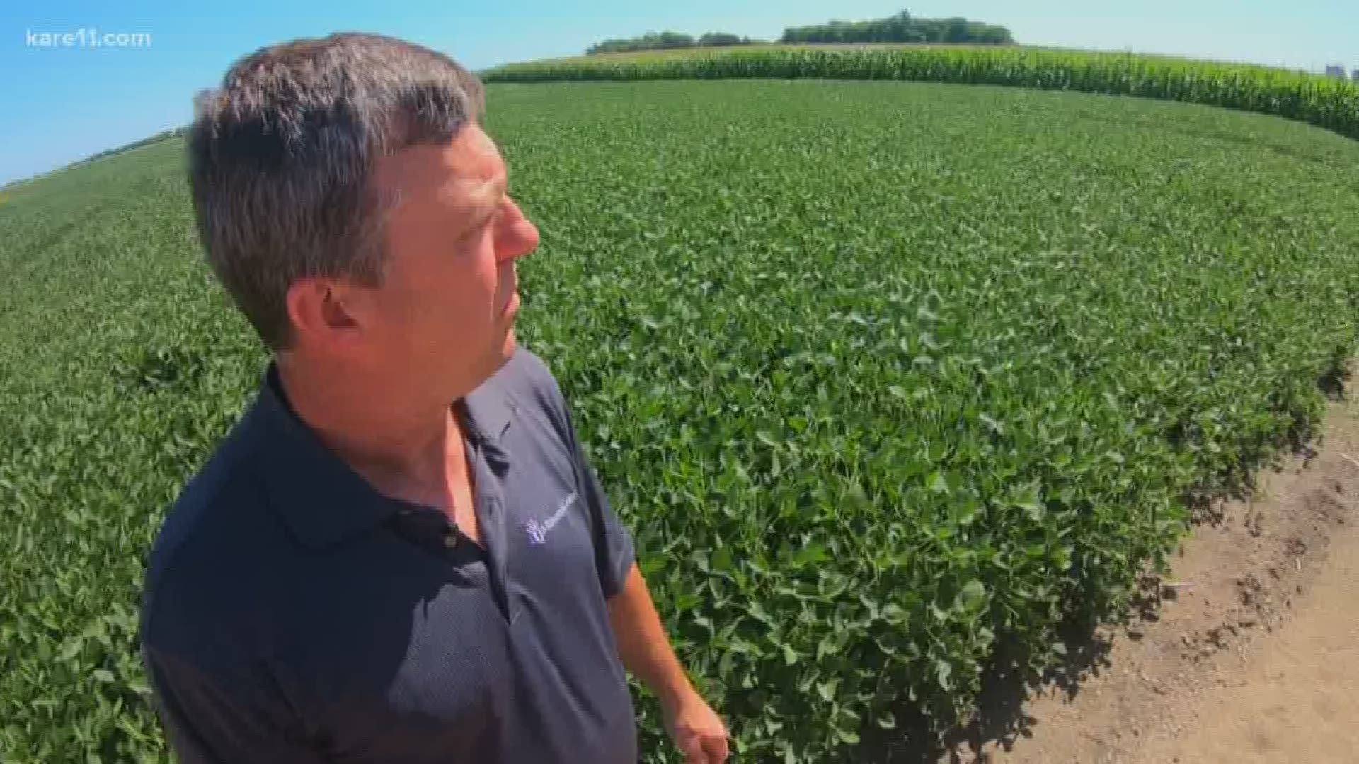 There's plenty of anxiety among Minnesota farmers these days due to a number of issues.