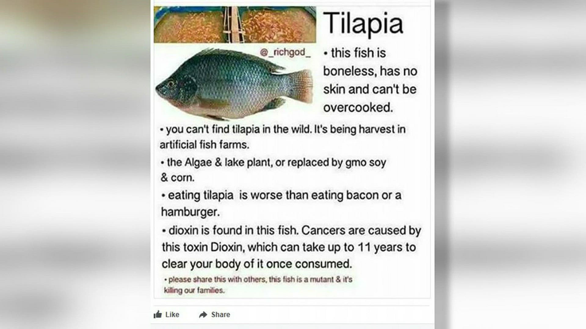 A post making its rounds on Facebook is saying a lot of bad things about tilapia, but are the claims true?