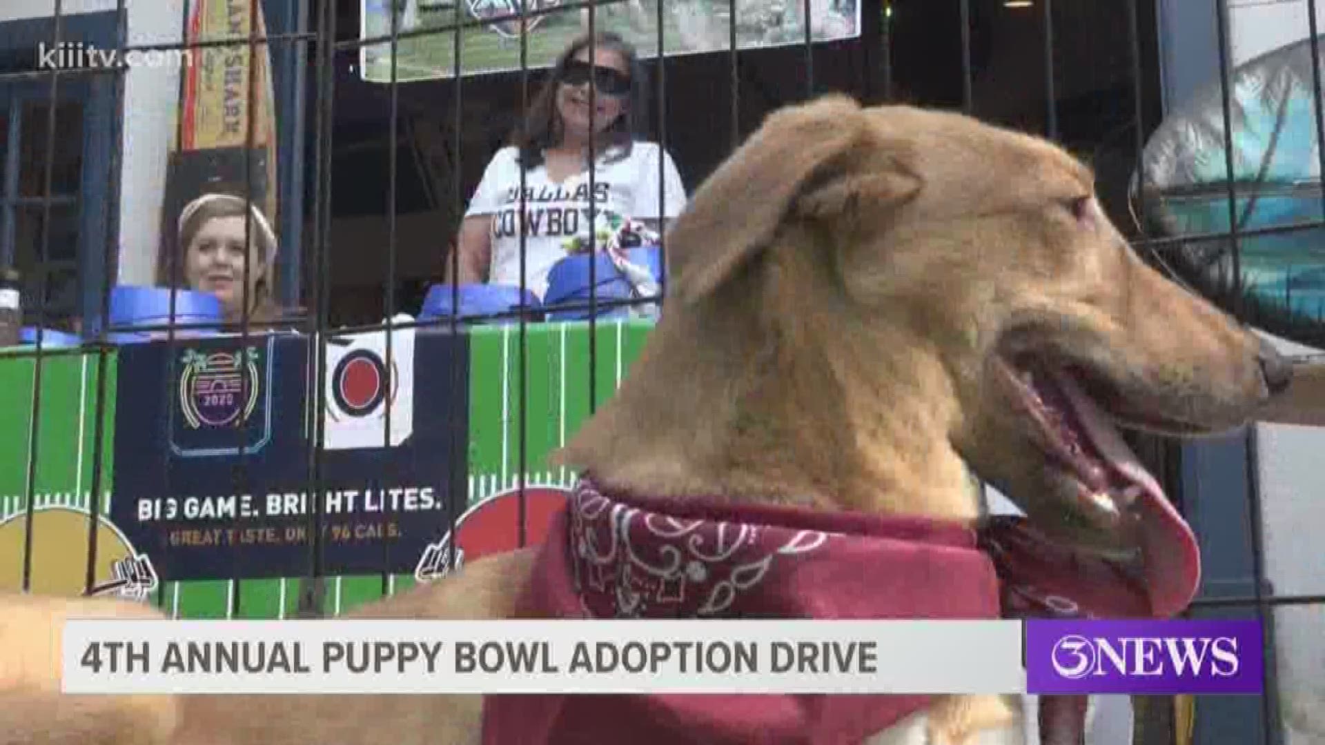 "You know, if the community gets involved it can make a major impact on the amount of stray animals we have running around in our community," said Arnold Mendoza.