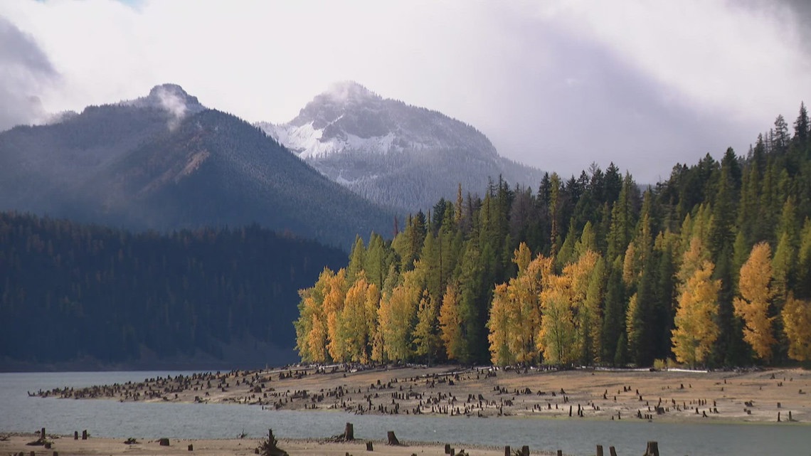 Navy aircraft crash site located east of Mount Rainier, condition of