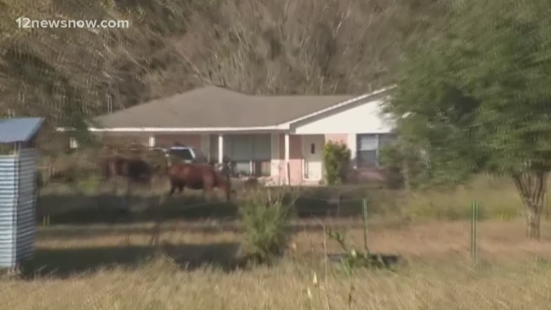 A 59-year-old caretaker found dead Sunday morning outside of a home in Anahuac was attacked and killed by wild hogs according to the autopsy.