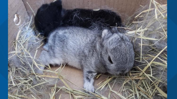 main society near me