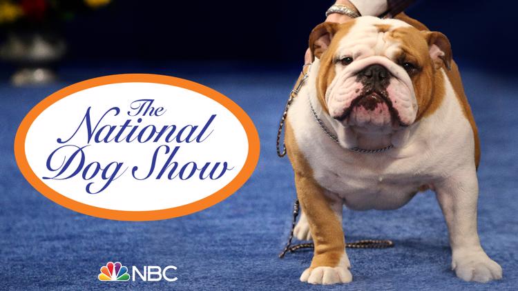 What's new at the 2022 National Dog Show on NBC this Thanksgiving