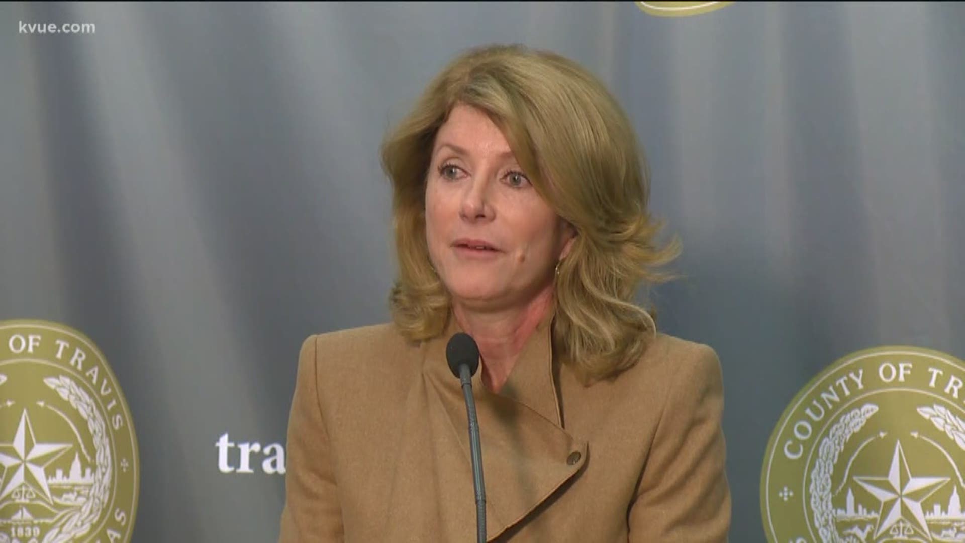 Wendy Davis plans to run for Congress, reports state ...