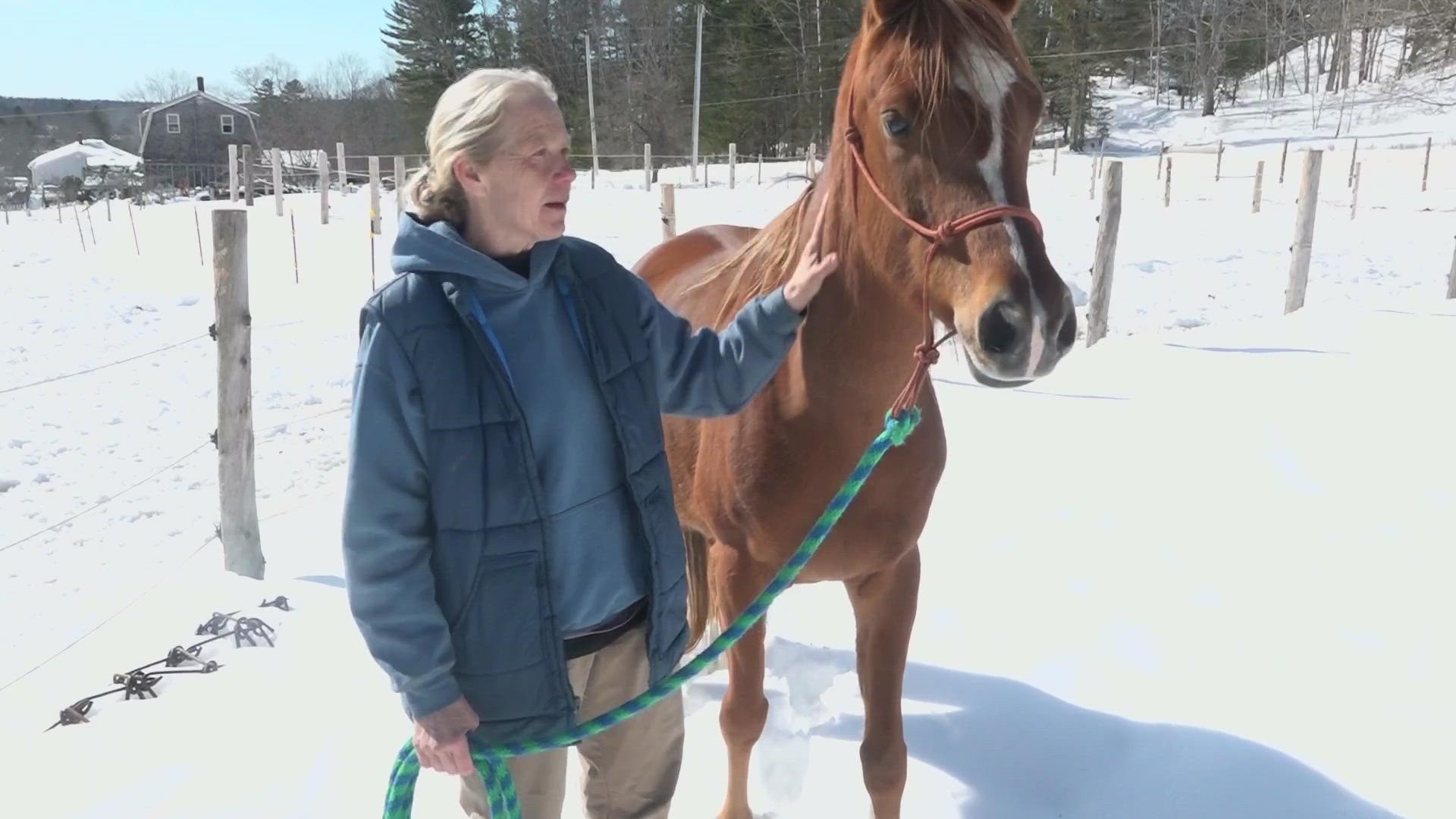 "We do try and go to any lengths we can to try and help these horses," the rescue's co-founder said.