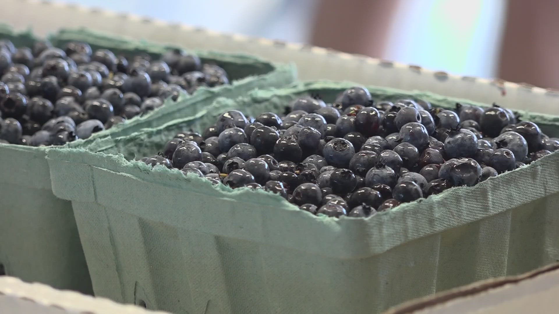 The $650,000 grant comes from a department within Maine's Department of Agriculture.