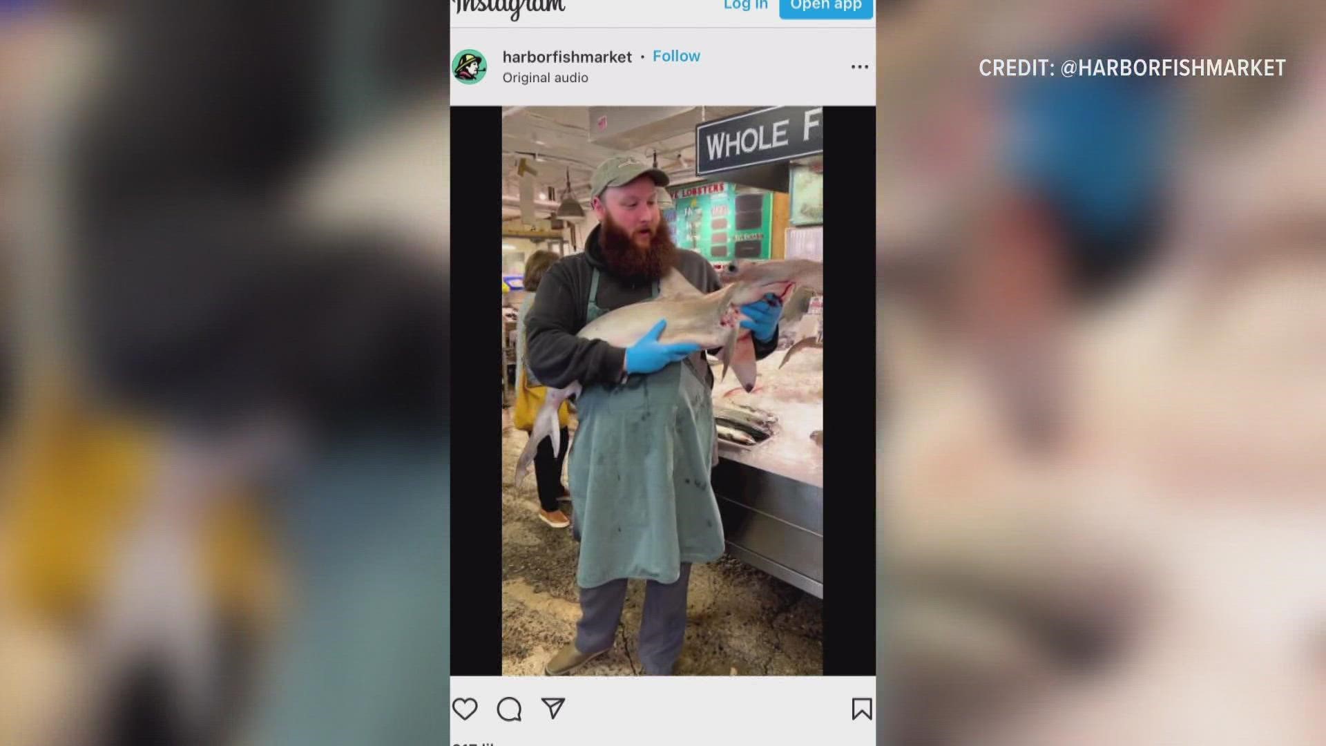 The video was posted this week on the Harbor Fish Market Instagram account.