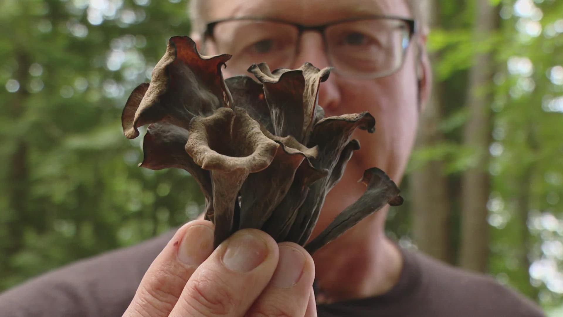 Foraging for mushrooms fills Kevyn Fowler with delight