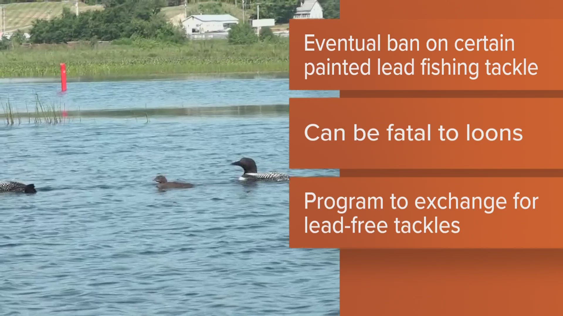 Getting lead out of fishing tackle  Minnesota Pollution Control Agency