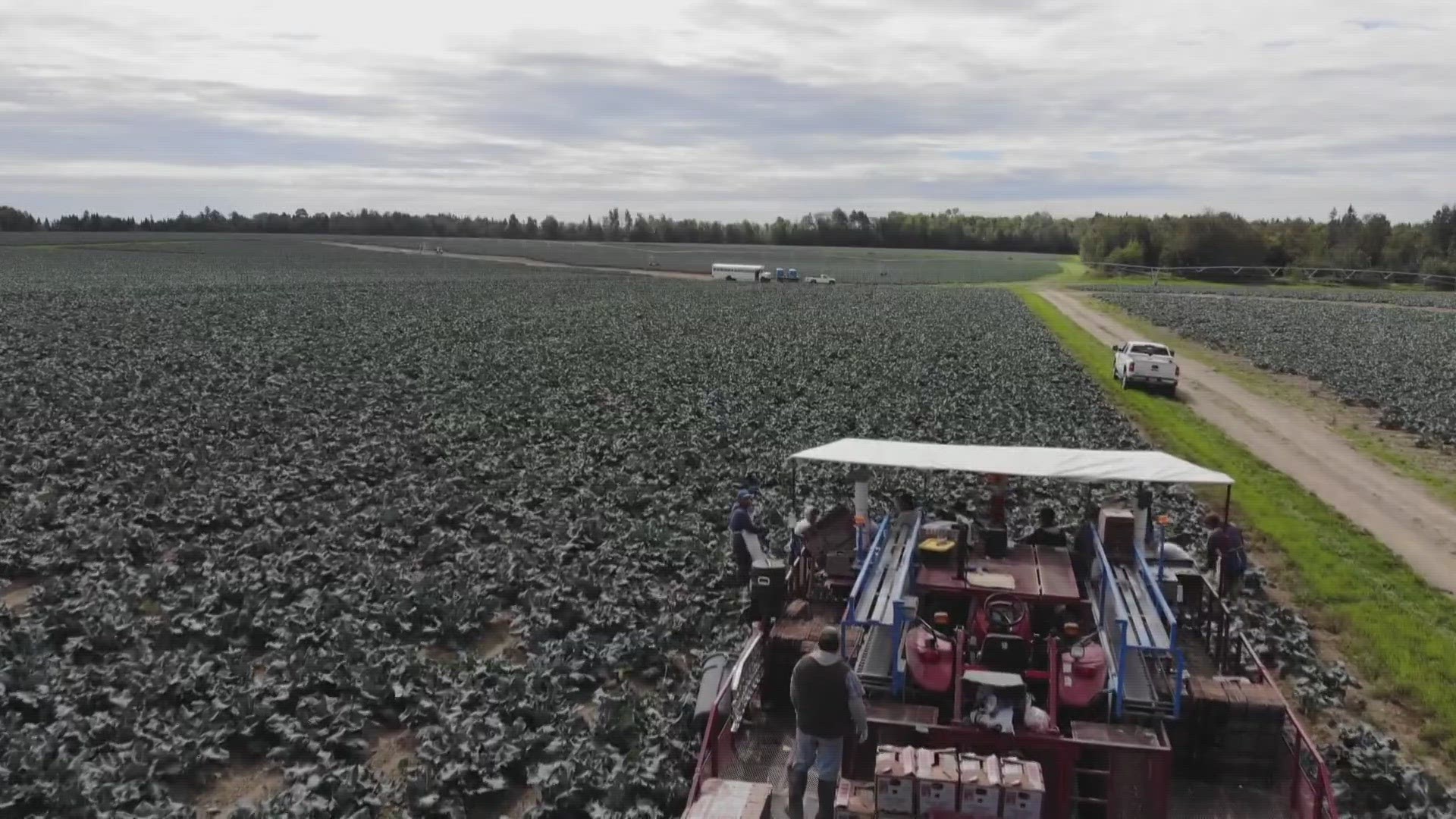 The sixth-generation family farm is the number one exporter of broccoli and cauliflower east of the Mississippi River.