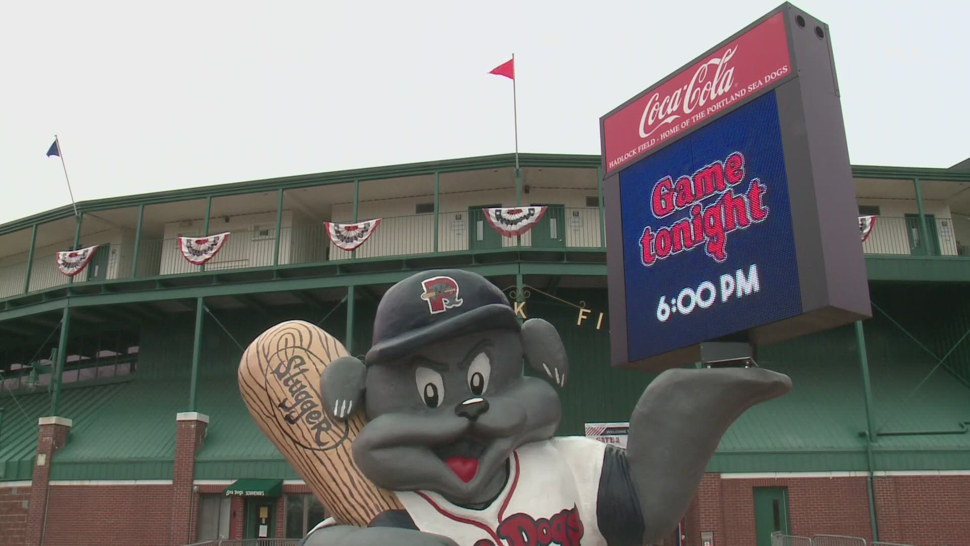 Binghamton Rumble Ponies on X: Have the Rumble Ponies mascot