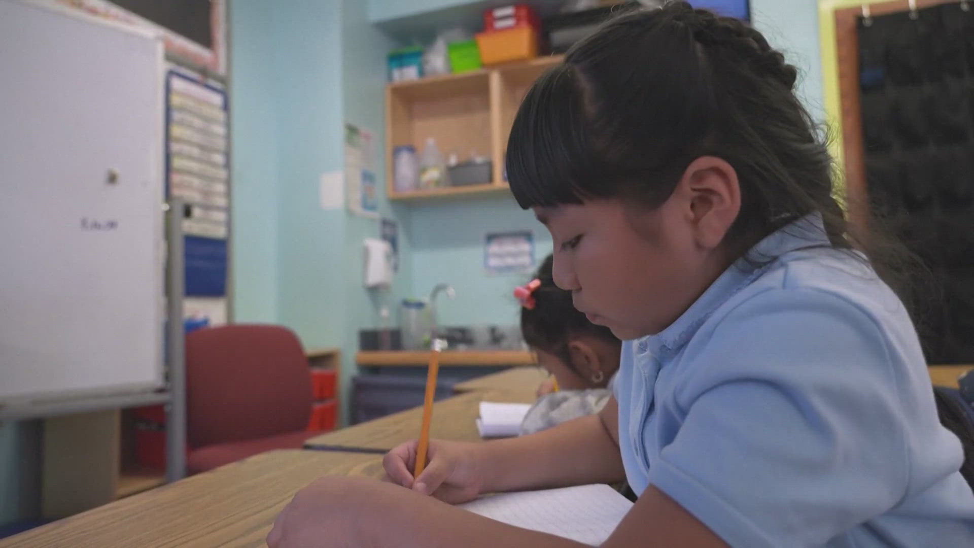 Education experts have been working for years to bridge the gaps between boys and girls in the fields of science, technology, engineering, and mathematics.