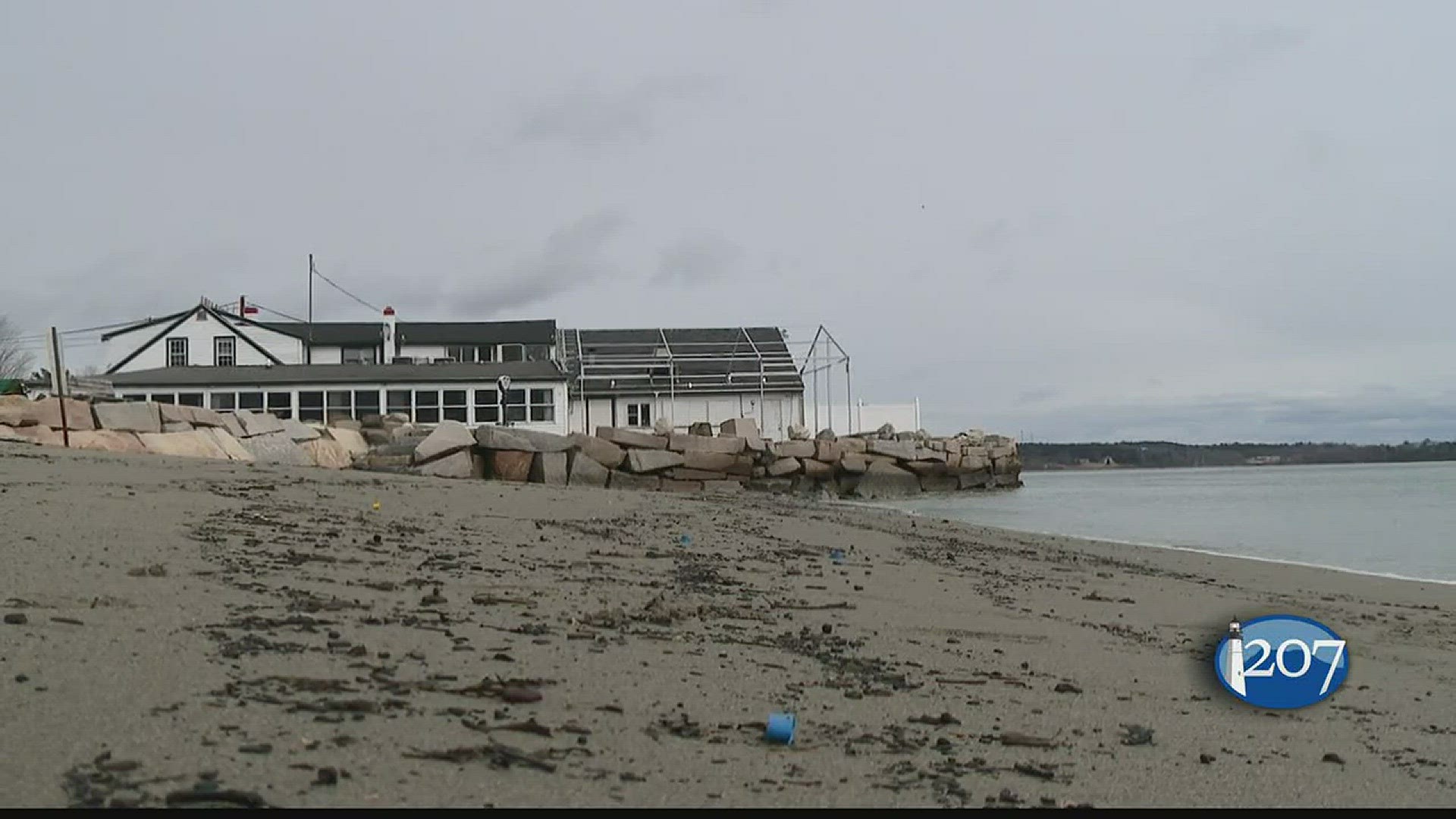 The auction of the Lincolnville Beach Lobster Pound