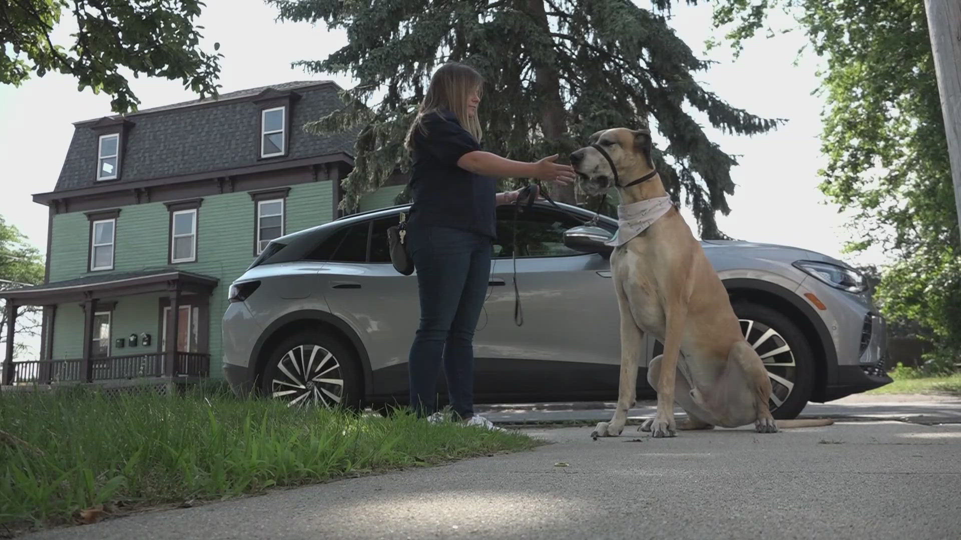 The South Portland council discussed a proposed dog park Tuesday, a first step in exploring long-term solutions for dog owners needing fenced-in space.