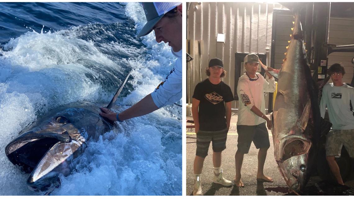 Teens spend 7 HOURS reeling in 700 POUND tuna off Maine coast