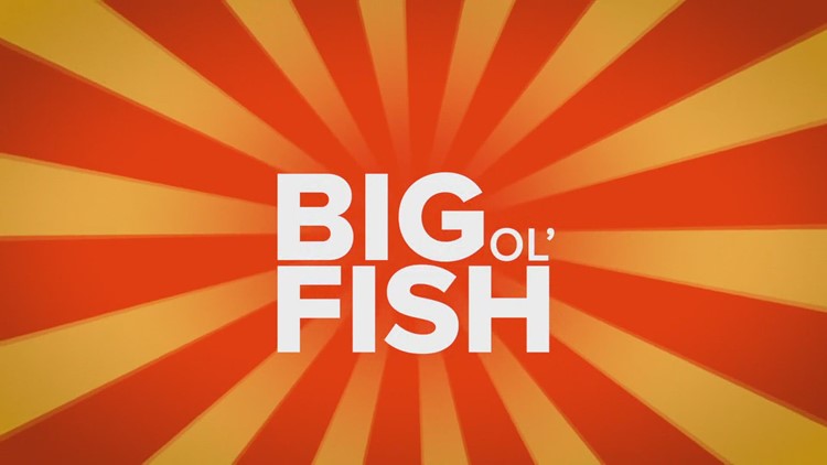 Big Ol' Fish on May 20
