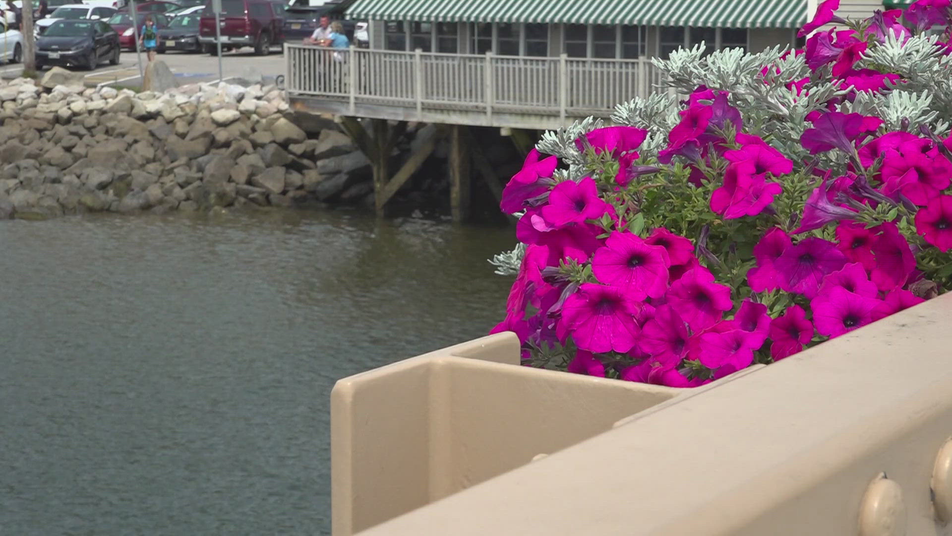 Hosted by the Rotary Club of Kennebunkport, members say this is the first time they have sold out of ducks in the 32 years of running the race.