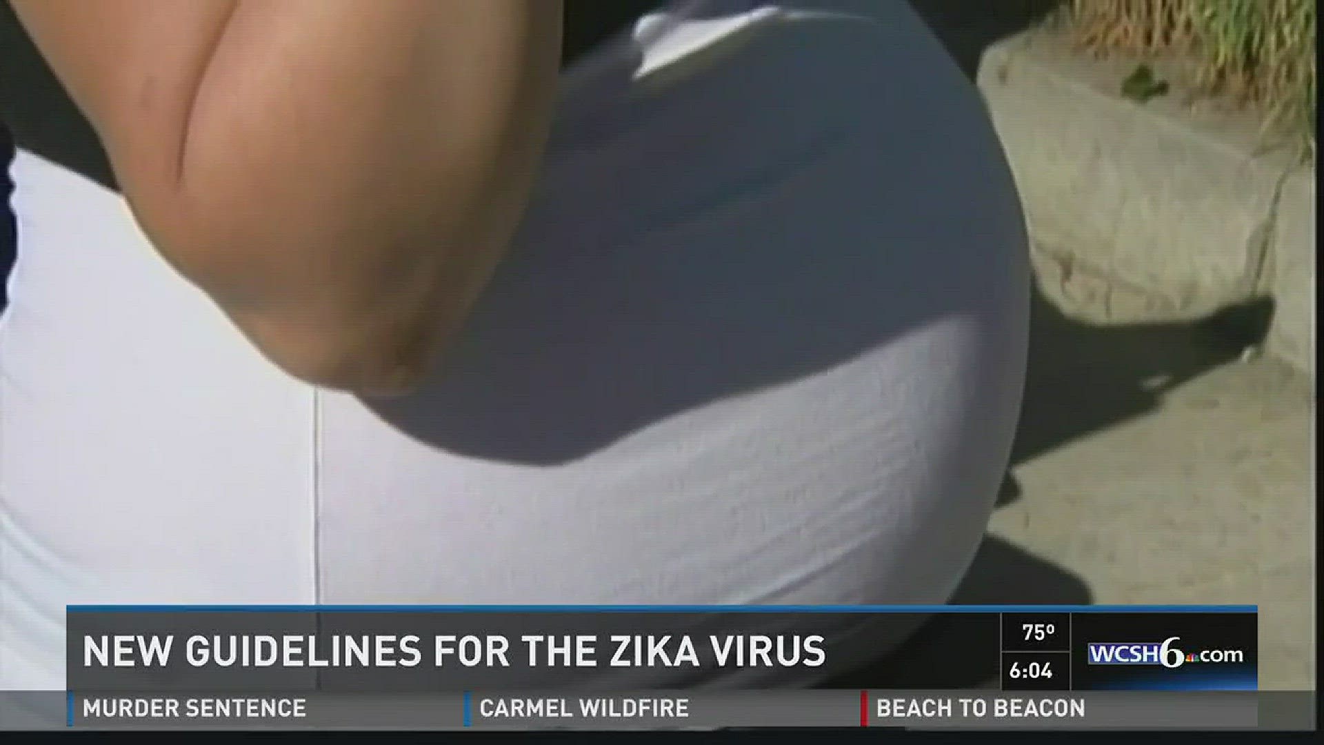 Zika virus guidlines
