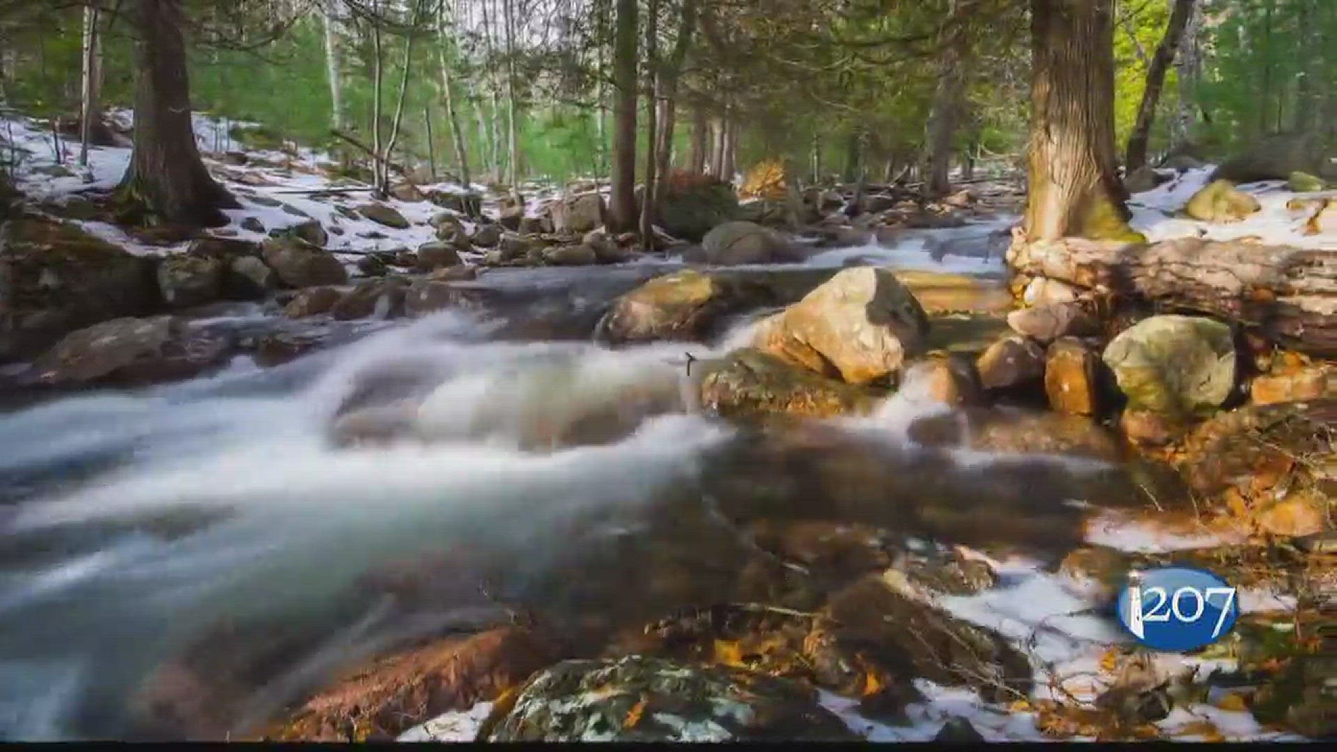 Photographer Will Greene creates beautiful time-lapses of Acadia National Park.