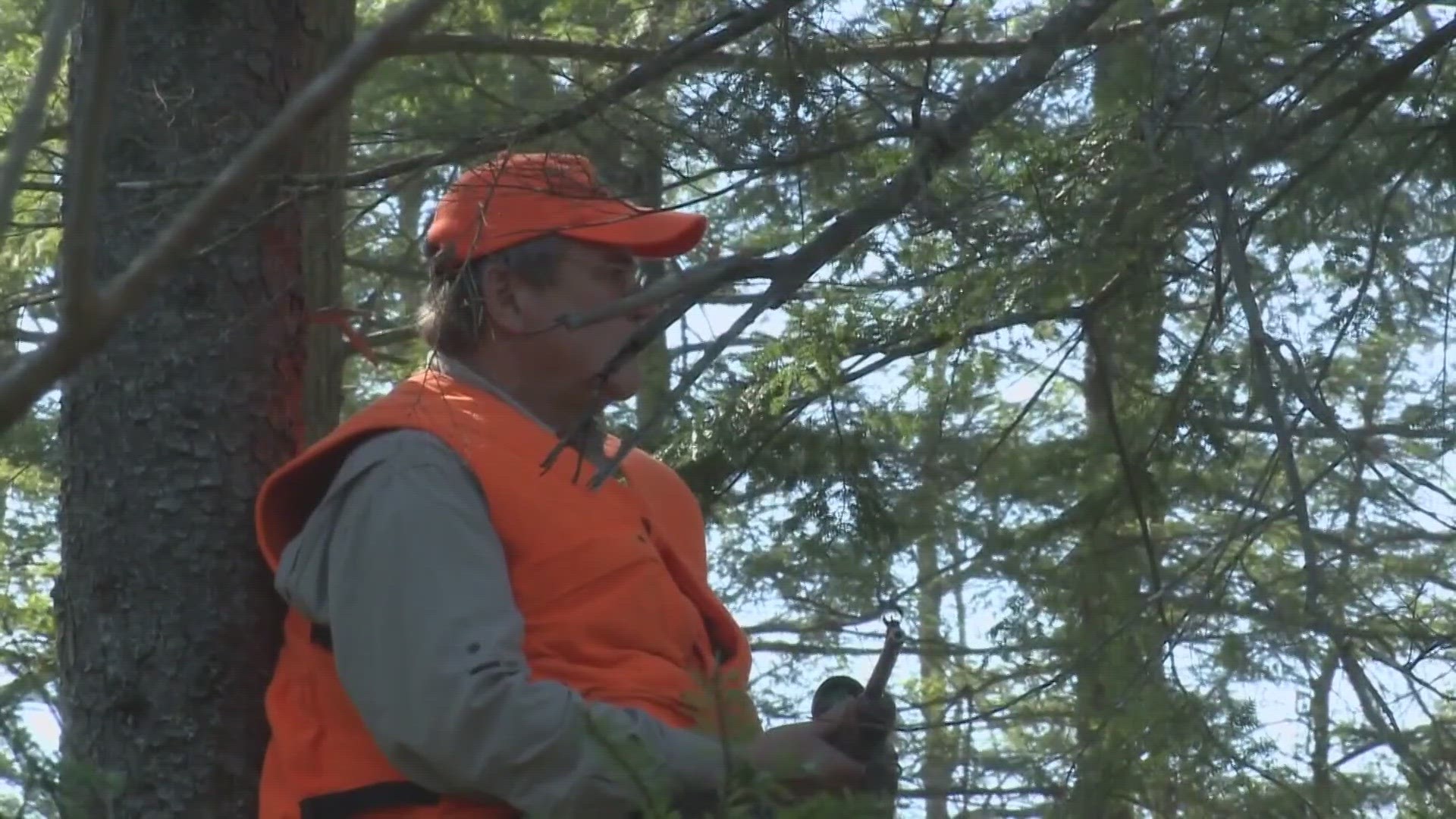 If passed, bow hunters would be able to opt into Sunday hunting while getting their regular permit.