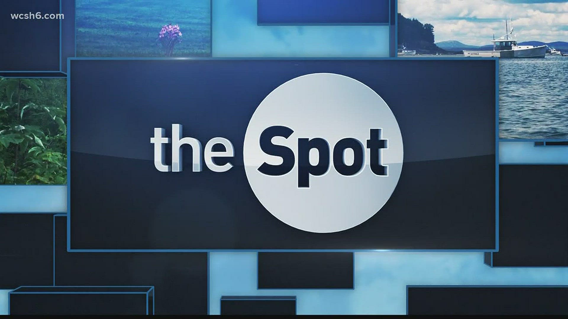 The Spot: Congressman Bruce Poliquin