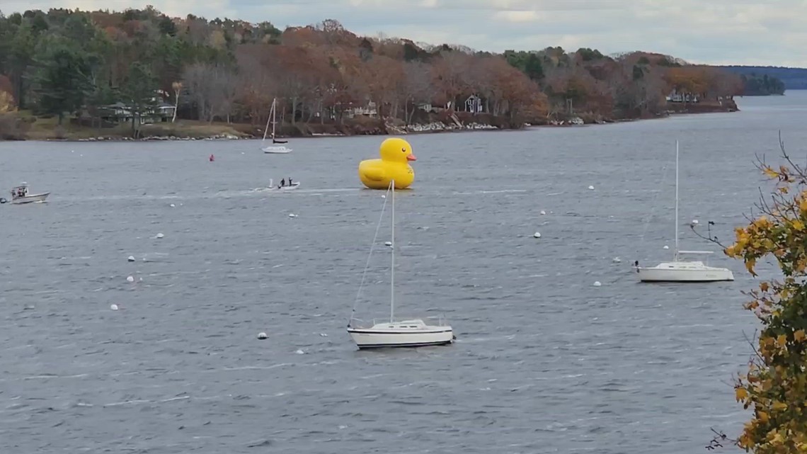 'Greater Joy' the giant inflatable duck makes great escape in Belfast