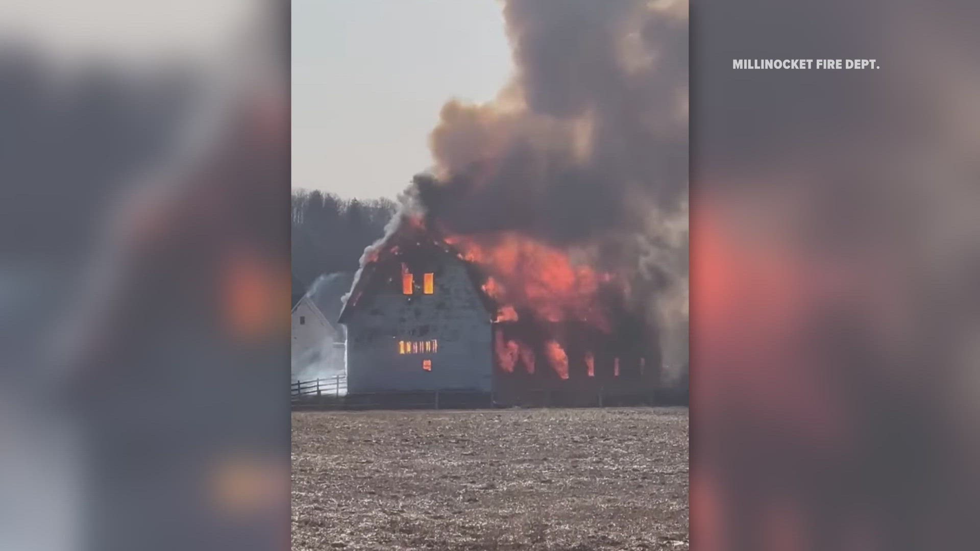 Two horses died in the fire, according to the Millinocket Fire Department.