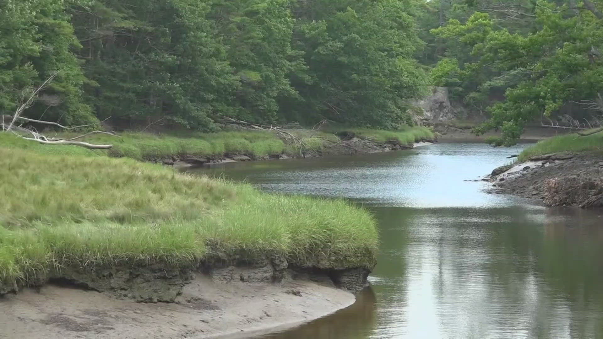 Public Works Director Eric Labelle said microorganisms used during the wastewater treatment process to consume bacteria in the water disappeared, causing an odor.