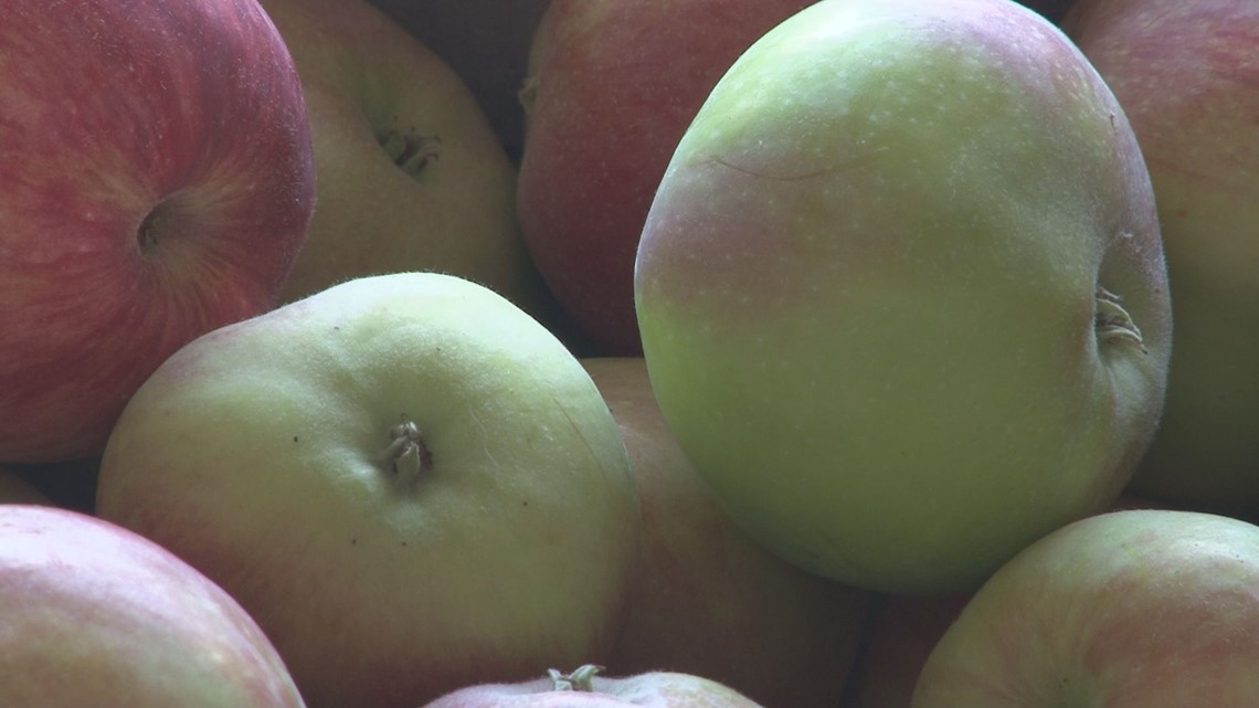 Maine orchard is top contender in 'USA Today 10Best' - Vimarsana News