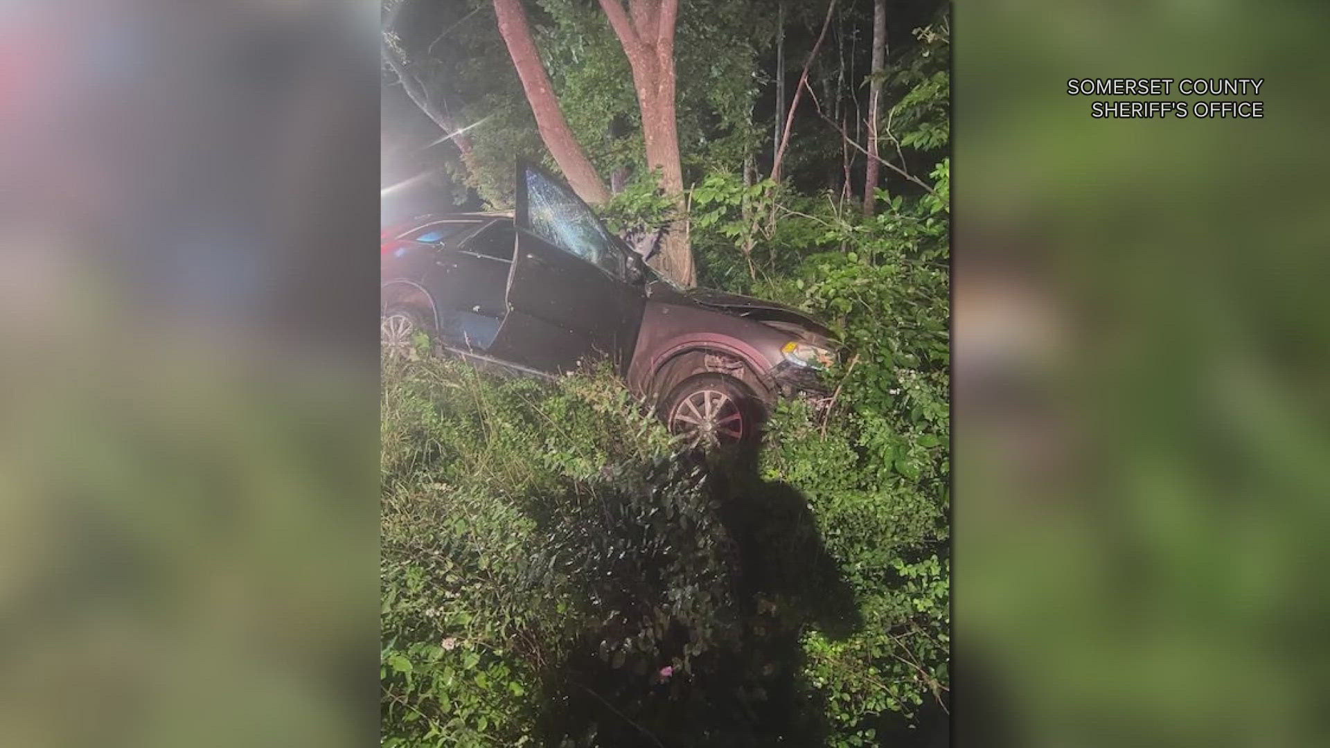 Deputies said the 69-year-old woman was traveling north on Route 201 when she crossed the center line, went off the road into a ditch, and struck a tree.