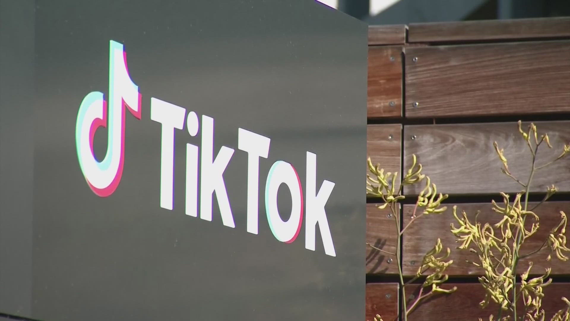 TikTok has challenged the law, saying it violates free speech rights under the First Amendment.