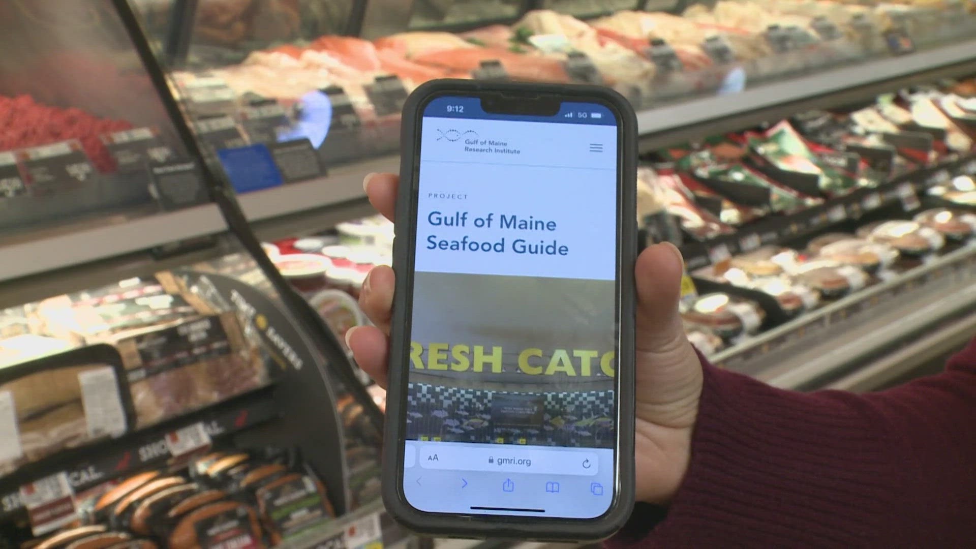 The seafood guide aims to acclimate new Mainers to the different types of fish available that they might not be used to eating.