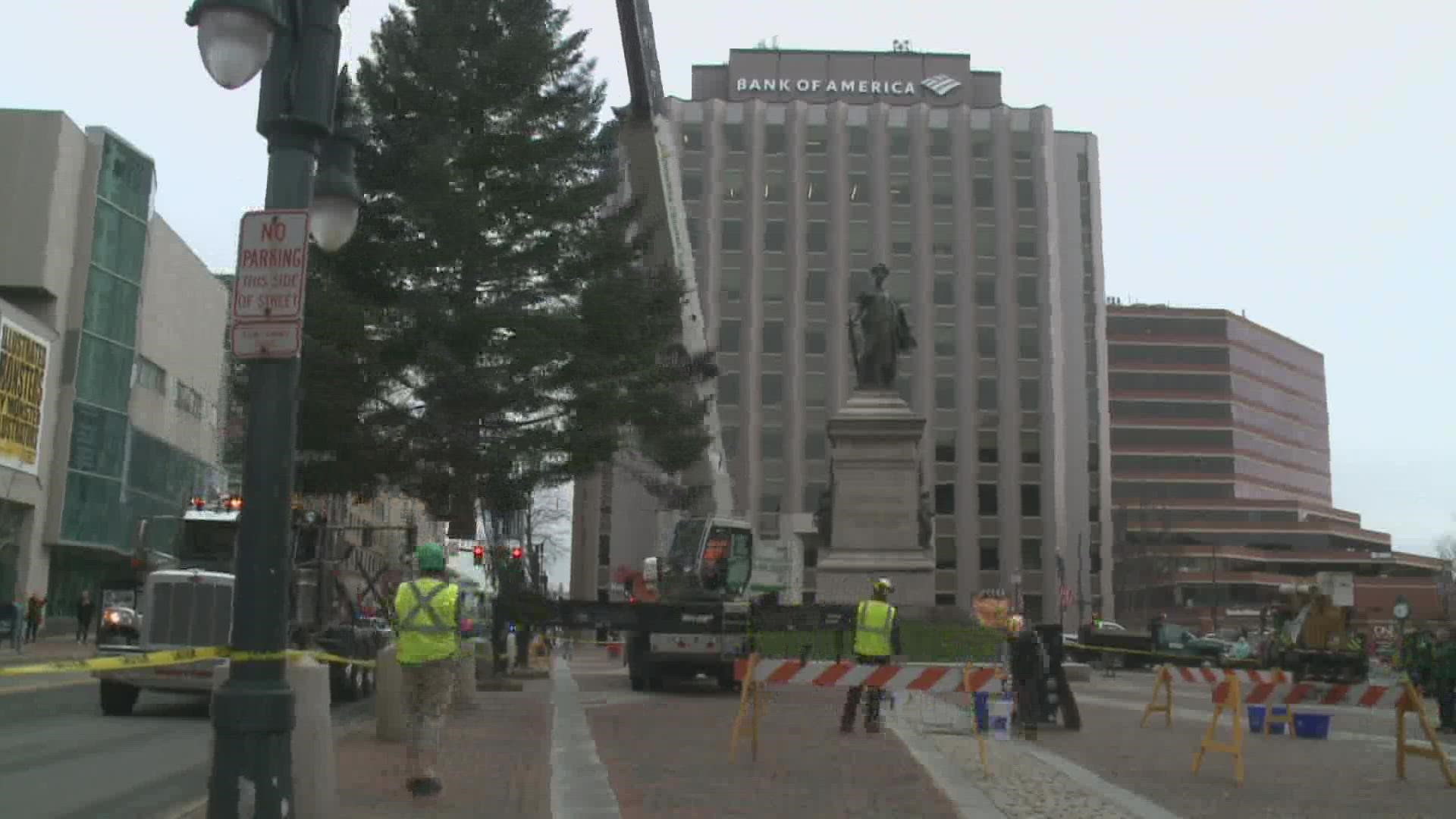 While thousands of passersby will enjoy the tree, it carries a special meaning for the woman who donated it.